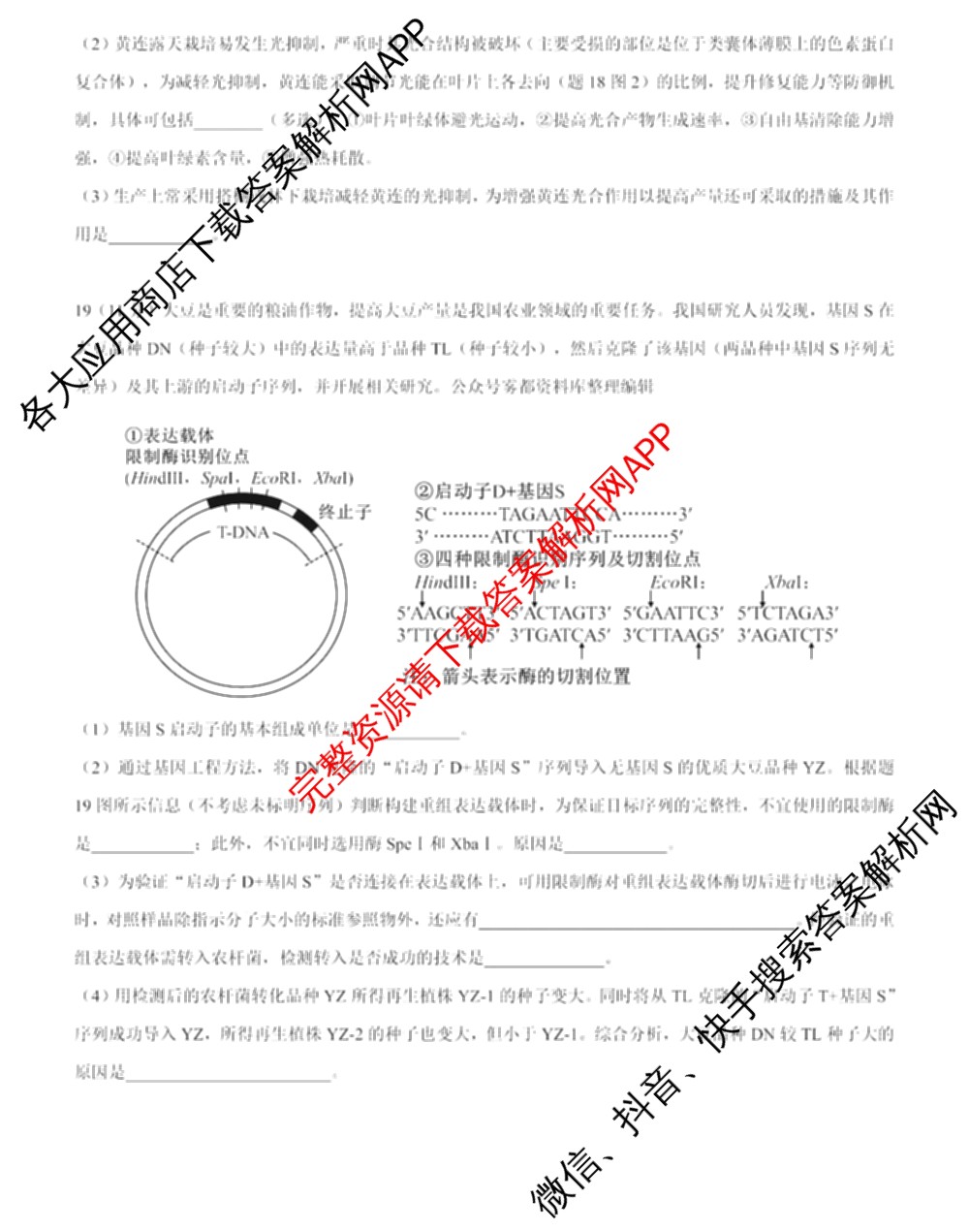 2024年高考真题(新高考)(已更新生物(山东卷) 数学(新课标II卷) 物理(河北卷)等108份)生物试题