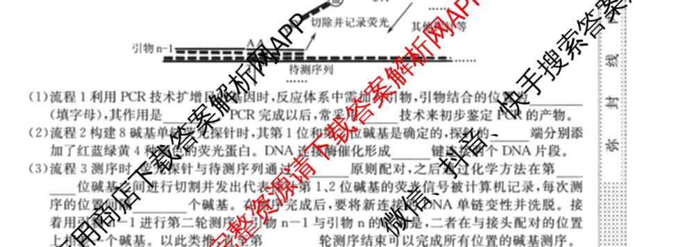 2027新高考单科模拟综合卷(六)（含政治 生物 历史等9份）生物试题