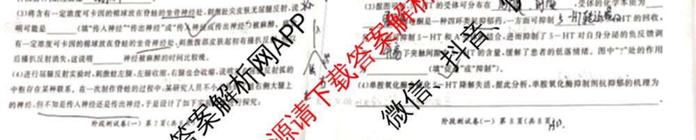 百师联盟2025-2026学年高二上学期阶段测试卷(一)1各科答案及试卷: 含地理(75分钟)、地理(中图版75分钟)、物理(90分钟多选)试卷解析生物试题