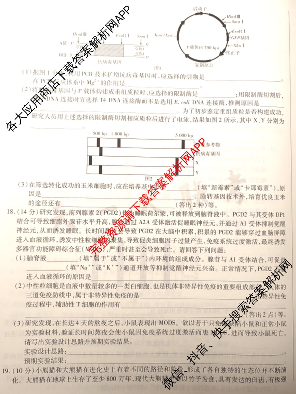 天一大联考2025届高考全真模拟卷(七)7试卷及答案汇总(已更新化学(河南专版) 历史(安徽专版) 历史(河南专版)等39份)生物试题