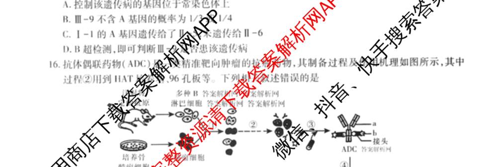2026届智慧上进名校学术联盟高考模拟信息卷&冲刺卷&预测卷(一)1(已更新化学(I-26-1) 历史(26-1) 生物(II)等49份)生物试题