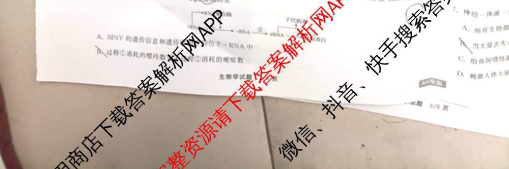 天舟高考衡中同卷2025届全国高三联合性检测(4月)（含物理(L专版)、生物(AH专版)、物理(J专版)等）生物试题