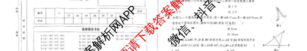 河北省2025~2026学年八年级第一学期第一次学业质量检测(B版◇◇)（含历史、英语(人教版)、地理等）数学试题