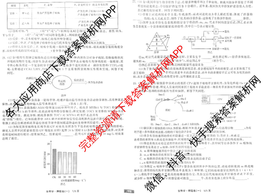 天舟高考衡中同卷2025年普通高等学校招生全国统一考试模拟押题卷(一)1试卷及答案汇总（34科全）生物试题