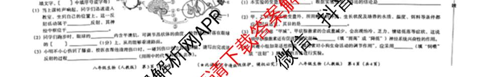 河南省2025-2026学年第一学期学情分析试卷(9月)八年级各科答案及试卷（含道德与法治、语文、物理(沪科版)等）生物试题