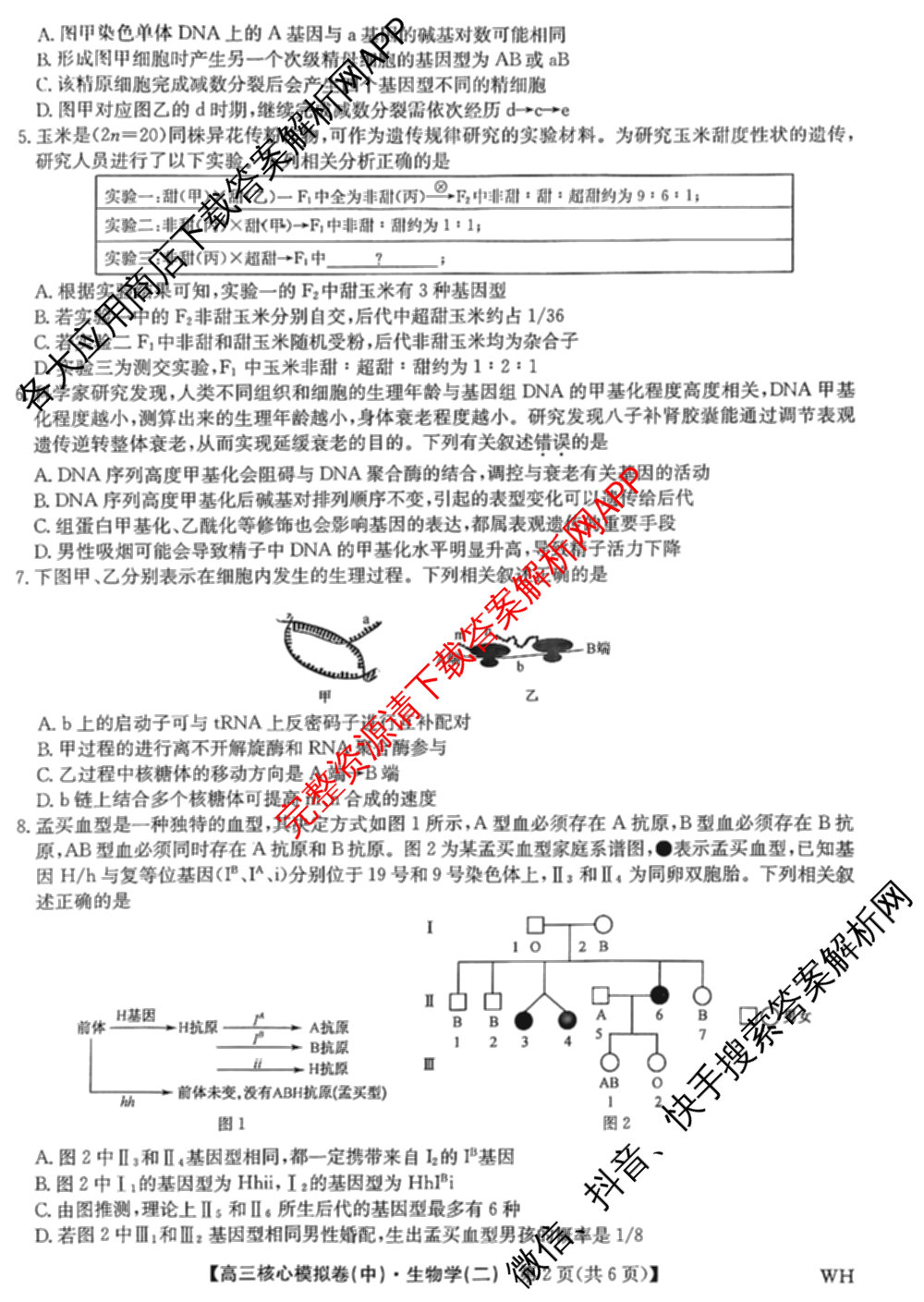 九师联盟2024~2025学年高三核心模拟卷(中)(二)2（含历史 地理(D4) 数学等29份）生物试题
