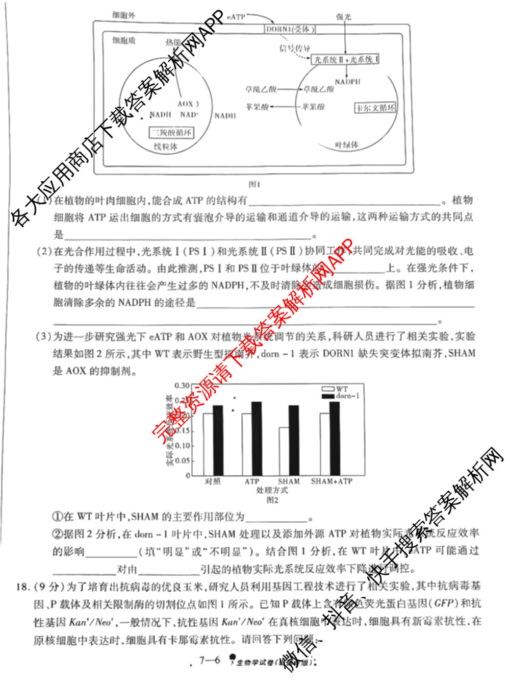 天一大联考2025届高考全真模拟卷(七)7试卷及答案汇总(已更新化学(河南专版) 历史(安徽专版) 历史(河南专版)等39份)生物试题