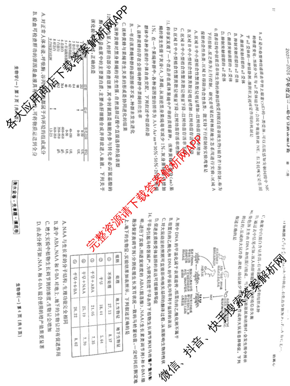 衡水金卷先享题摸底卷 2025-2026学年度高三一轮复摸底测试卷(一)1（14科全）生物试题