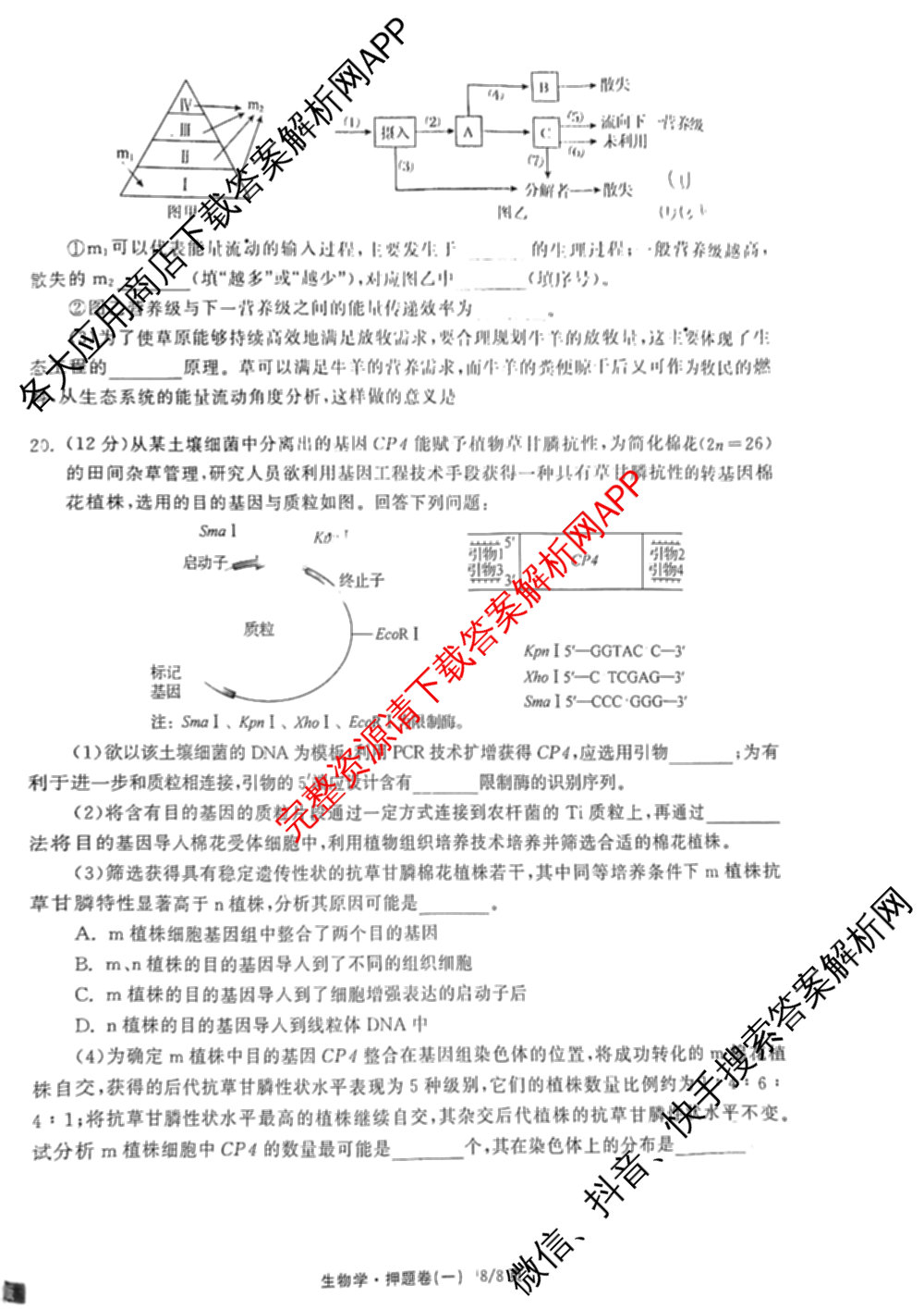 天舟高考衡中同卷2025年普通高等学校招生全国统一考试模拟押题卷(一)1试卷及答案汇总（34科全）生物试题