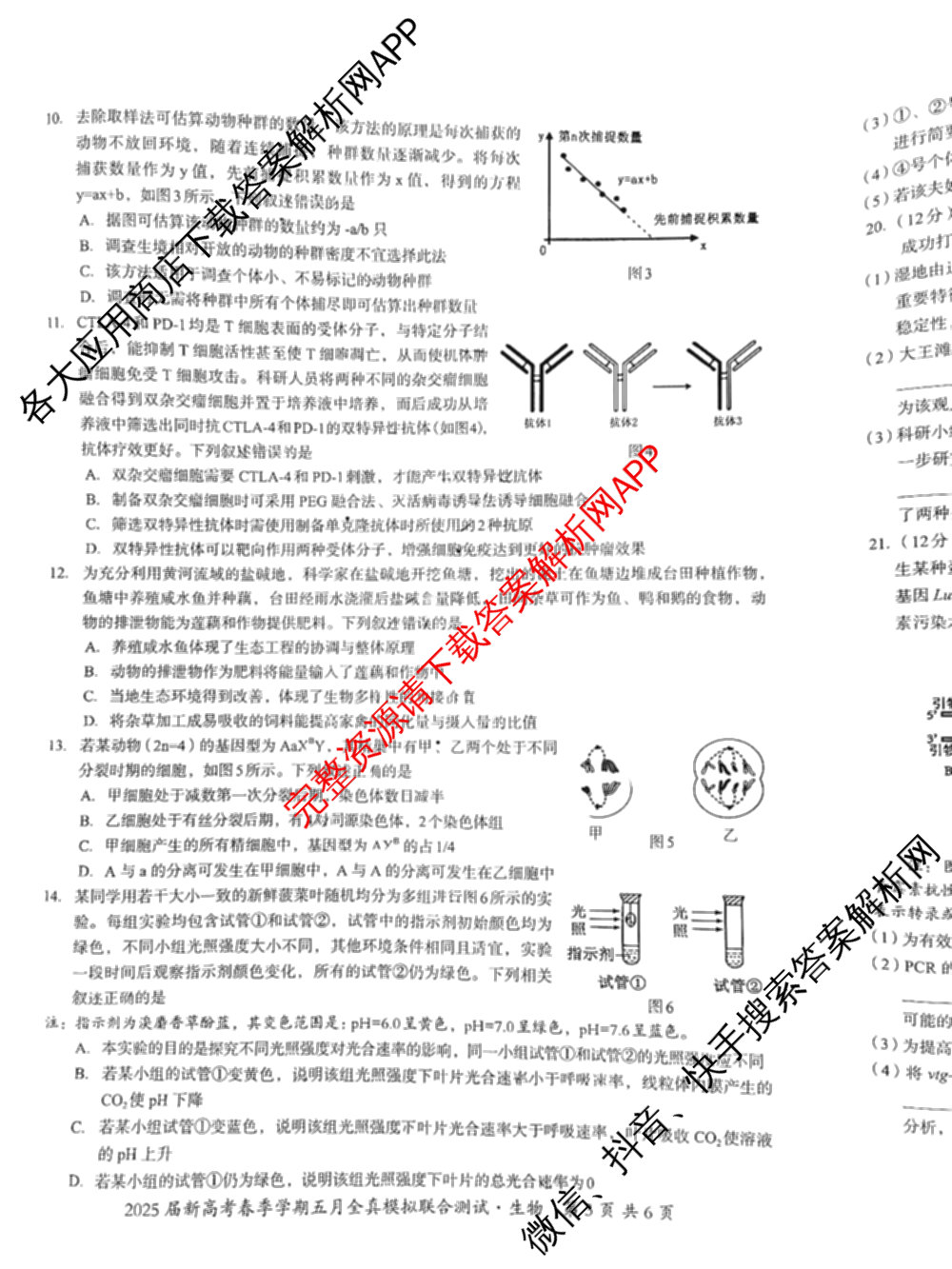 广西邕衡教育名校联盟2025届新高考春季学期五月全真模拟联合测试试卷及答案汇总(已更新地理 英语 物理等10份)生物试题