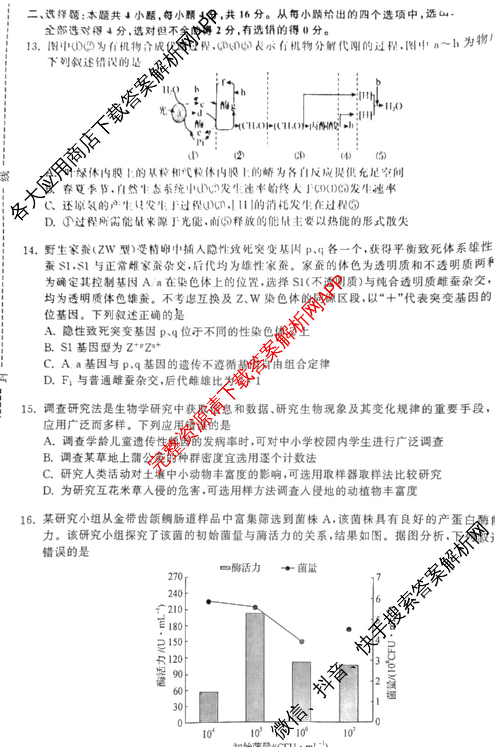 天舟高考衡中同卷2025年普通高等学校招生全国统一考试模拟押题卷(一)1试卷及答案汇总（34科全）生物试题