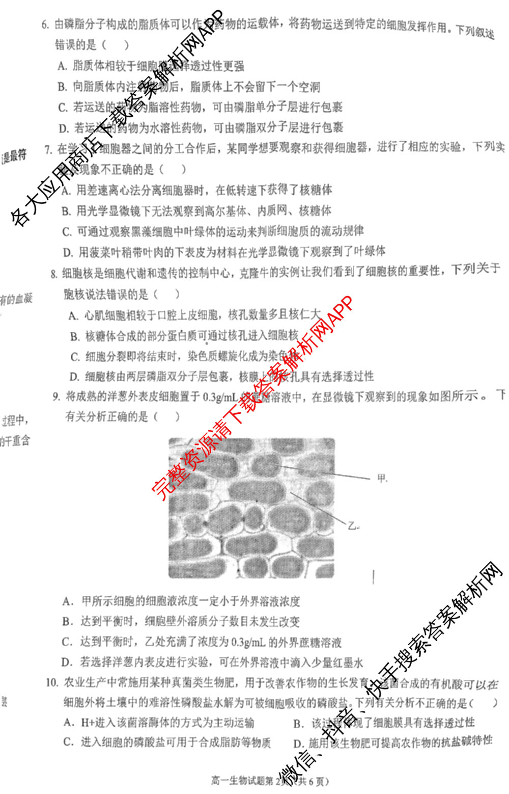 安庆市2024-2025学年度第一学期高一期末教学质量监测(1.18-20)试卷及答案汇总（含地理 生物 政治等）生物试题