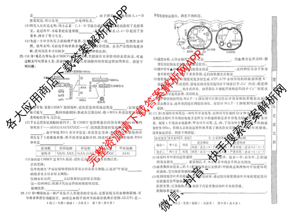 文海大联考2026届高中联盟12月高三联考试卷及答案汇总(已更新化学(江西)、地理、数学等13份)生物试题