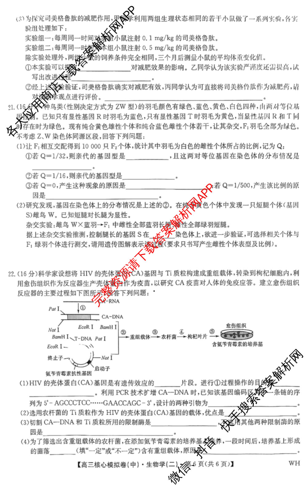 九师联盟2024~2025学年高三核心模拟卷(中)(二)2（含历史 地理(D4) 数学等29份）生物试题