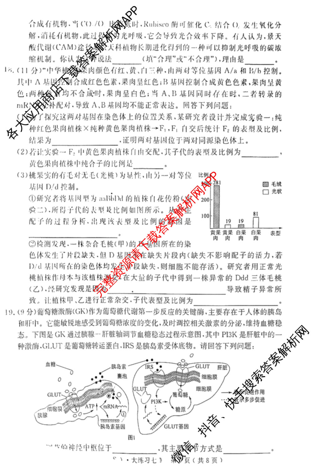黄冈八模2026届高三大练(七)7（含历史(SD)、地理、物理(JX)等）生物试题