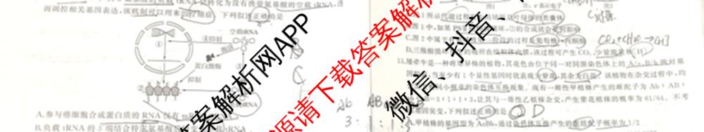 百师联盟2025届高三信息押题卷(四)4试卷及答案汇总（51科全）生物试题