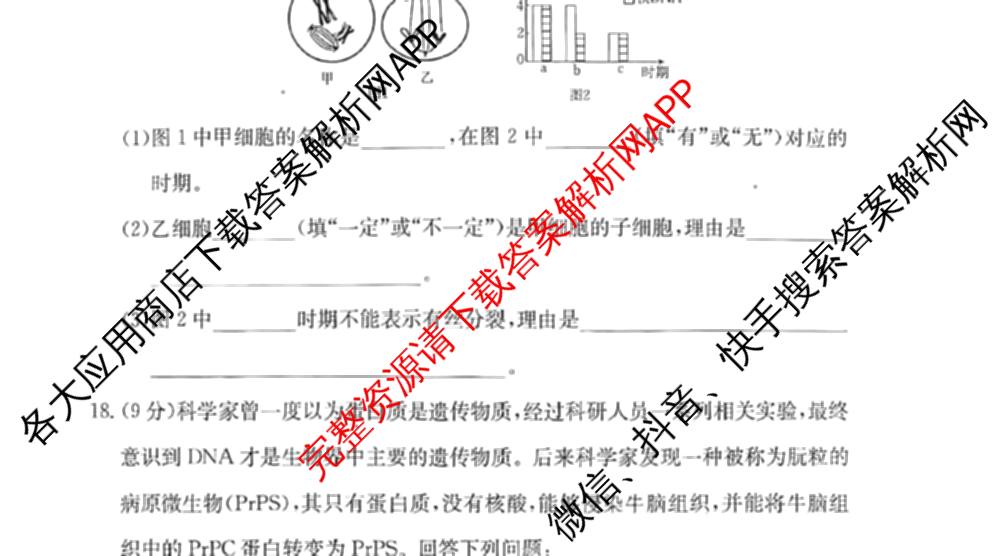 甘肃省白银市2024-2025学年高一年级下学期期末考试模拟卷(二)(GSZW)各科答案及试卷: 含语文、数学、物理试卷解析生物试题