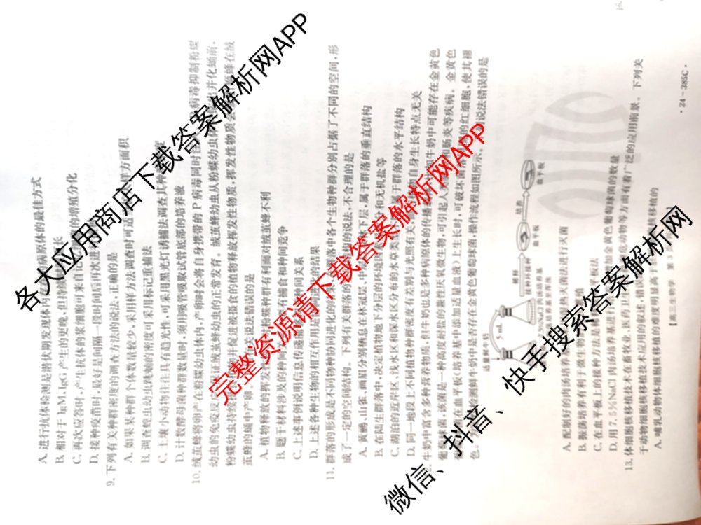 邯郸市2024届高三年级第四次调研考试(24-385C)各科答案及试卷: 含语文、化学、英语试卷解析生物试题
