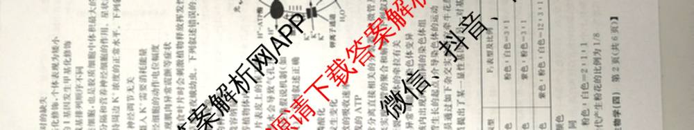 九师联盟2025~2026学年高三核心模拟卷(中)(四)试卷及答案汇总（36科全）生物试题