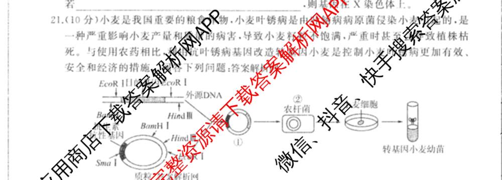 百师联盟2025届高三信息押题卷(四)4试卷及答案汇总（51科全）生物试题