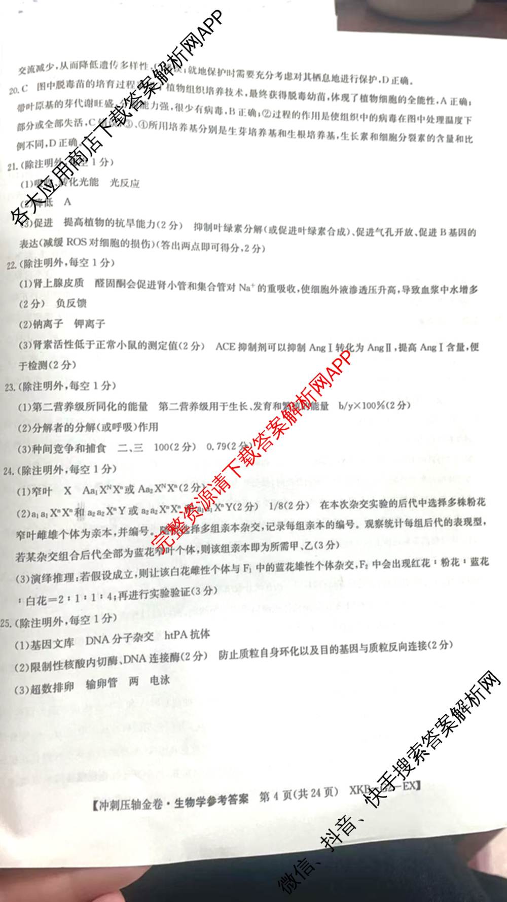 XKB2025届普通高等学校招生全国统一考试冲刺压轴金卷(一)1（含物理(XKB-G10-EX) 英语(XKB-G1-EX) 化学(XKB-G1-H-EX)等）生物答案