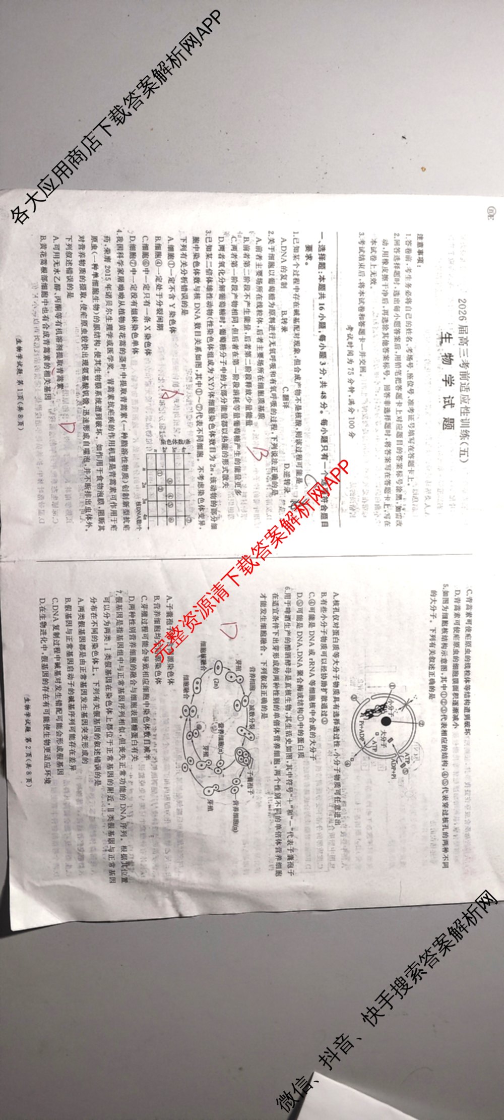 百师联盟2026届高三考前适应性训练(五)试卷及答案汇总（含生物(百F)、生物(百G)、英语(百)等）生物试题