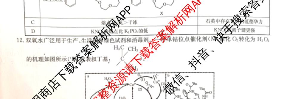 九师联盟2026届高三3月质量检测(2.27)各科答案及试卷（含地理(FJ)、政治(F)、语文(X)等）化学试题