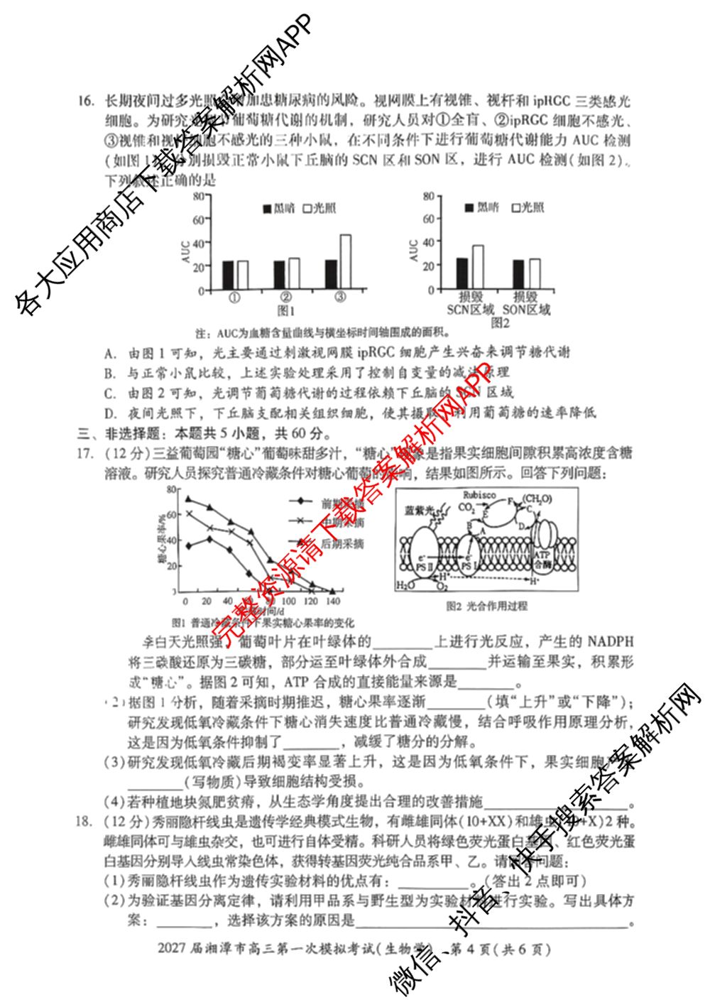 湖南省2027届湘潭市高三第一次模拟考试(8.29)各科答案及试卷（9科全）生物试题