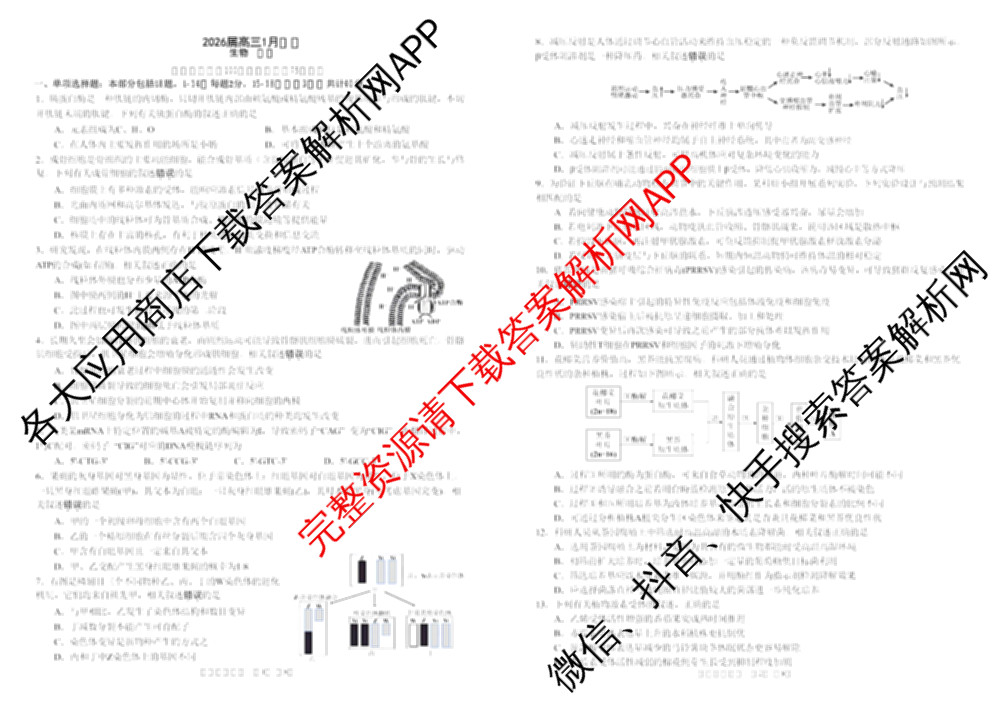安徽省合肥一中2025-2026年高三1月月考（含政治、数学、历史等）生物试题