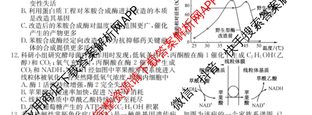 2026年全国高考冲刺压轴卷(五)5（67科全）生物试题