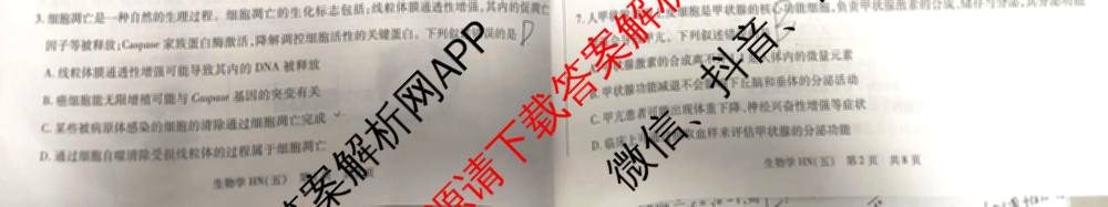 天一大联考2026届高三冲刺(六)6（含政治、数学、化学等27份）生物试题