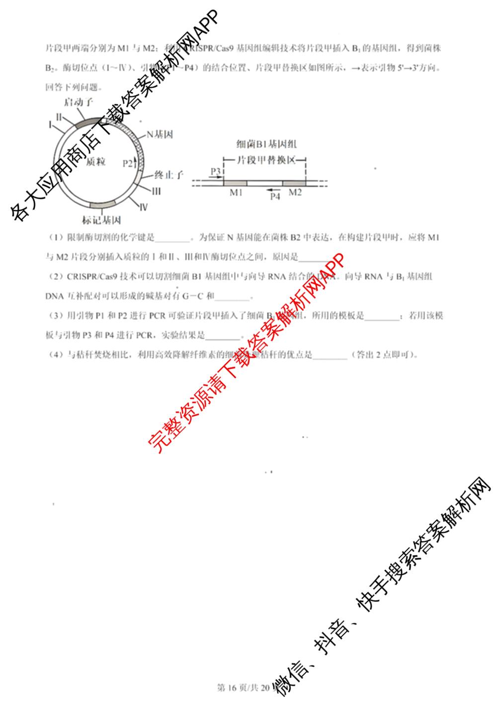 2024年高考真题(新高考)(已更新生物(山东卷) 数学(新课标II卷) 物理(河北卷)等108份)理综试题