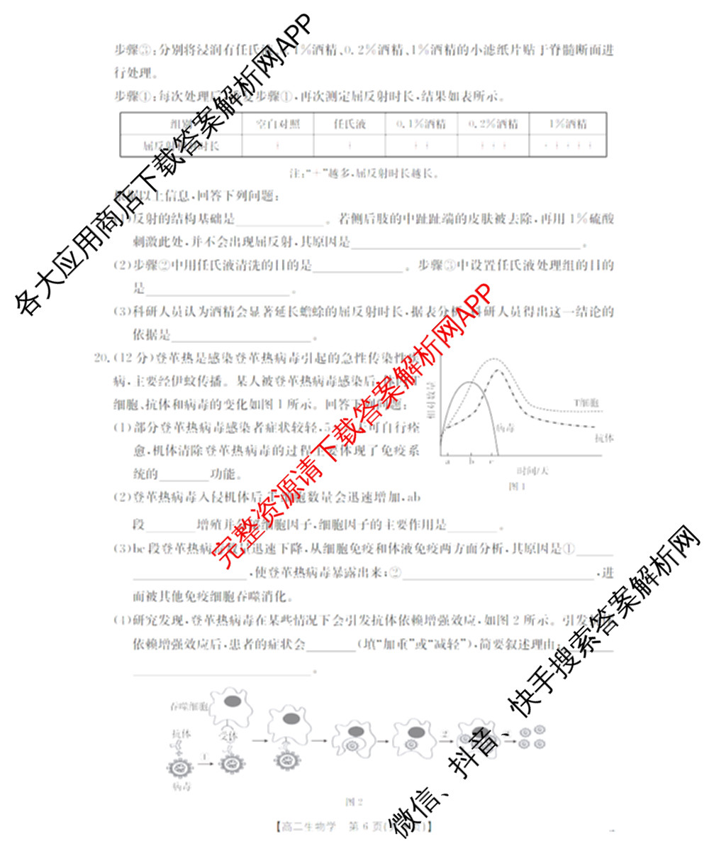 河北省沧州市2025-2026学年第一学期期末监测高一各科答案及试卷（含化学 历史 生物等9份）生物试题