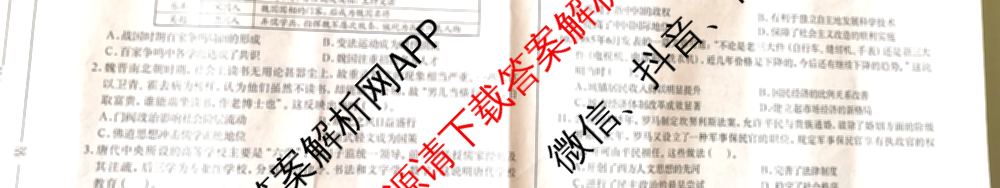 广西名校高考模拟试卷第一次调研考试[2025广西名校卷-3]（含化学 物理 历史等）历史试题
