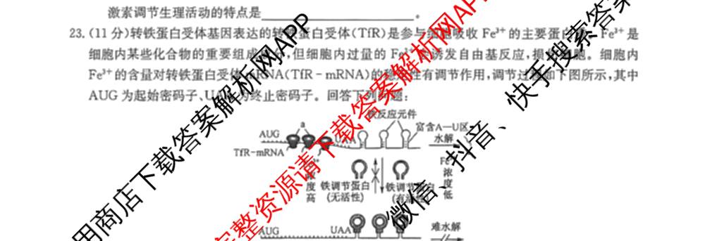 九师联盟2025~2026学年高三核心模拟卷(中)(五): 含政治(河南)、物理(HF)、英语试卷解析生物试题