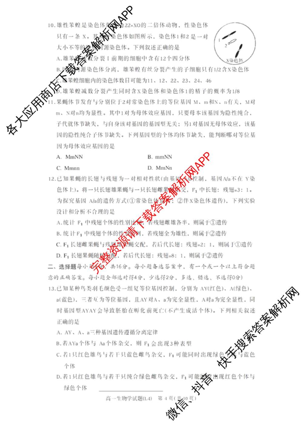 炎德英才大联考2025-2026学年高一4月考试(L4)各科答案及试卷(已更新物理(L4 A) 化学(A-L4) 化学(C-L4)等11份)生物试题