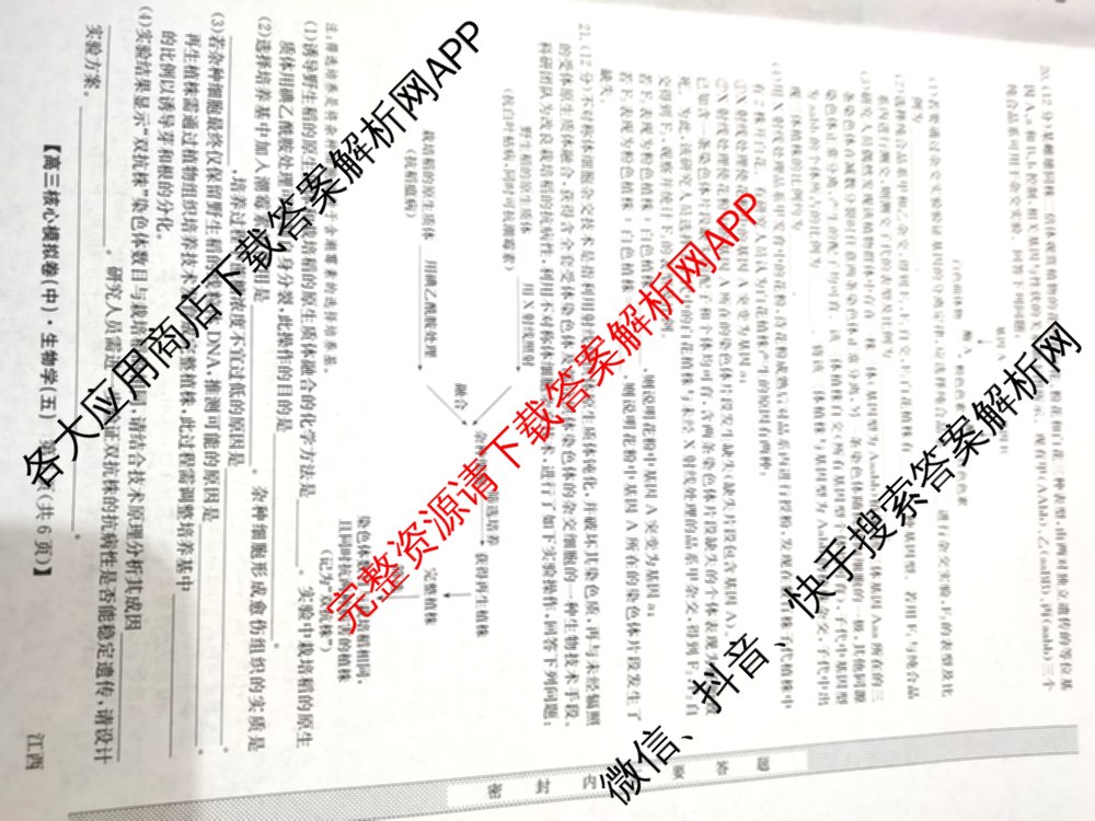 九师联盟2025~2026学年高三核心模拟卷(中)(五): 含政治(河南)、物理(HF)、英语试卷解析生物试题