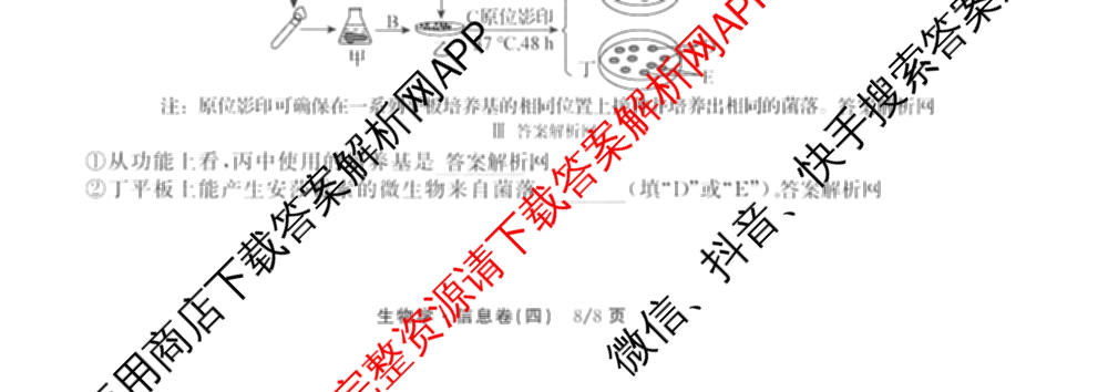 天舟高考衡中同卷2026年普通高等学校招生全国统一考试模拟信息卷(四)4试卷及答案汇总: 含化学(山东版)、生物(WY)、英语(B)试卷解析生物试题