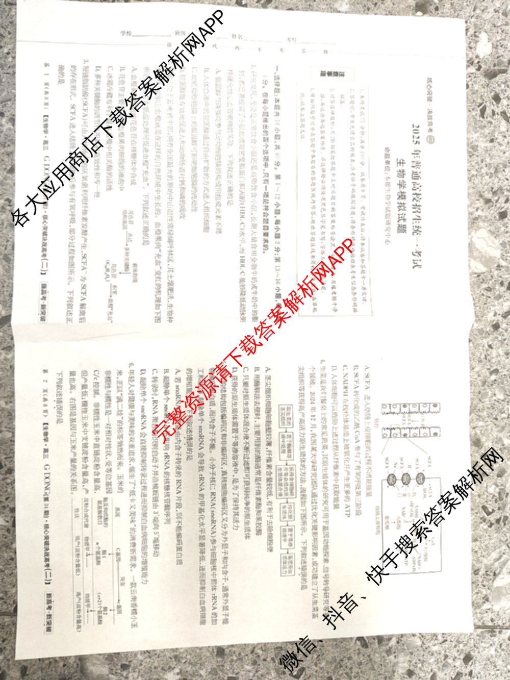 2025年普通高校招生统一考试核心突破决战高考(二)试卷及答案汇总（含地理(G DONG) 英语(G DONG) 物理(YN)等）生物试题