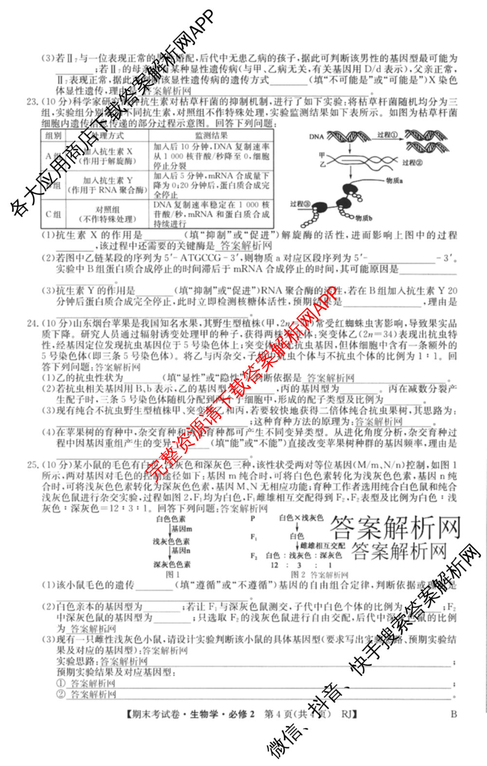 2025~2026学年度高一期末考试卷(下学期)试卷及答案汇总（9科全）生物试题