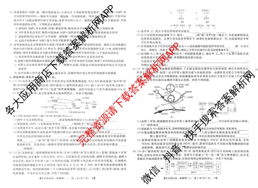 2026普通高等学校招生全国统一考试综合模拟卷(二)2试卷及答案汇总: 含地理(F)、地理(C)、数学(X)试卷解析生物试题