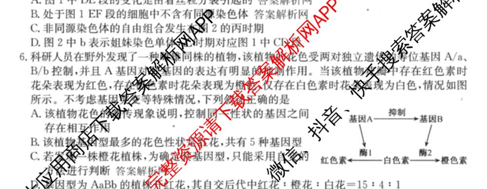 2026届全国高考调研模拟信息卷(五)5（14科全）生物试题