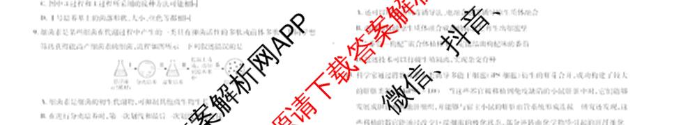天一大联考2024-2025学年(下)高二年级期中考试: 含生物(B卷)、政治(A)、历史试卷解析生物试题