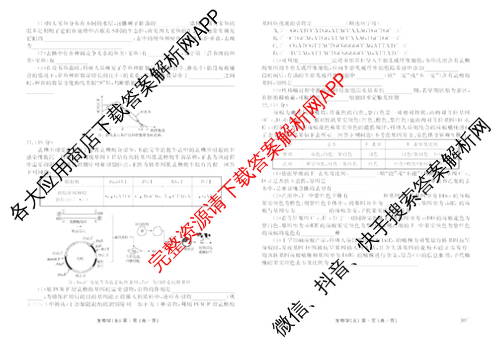 衡水金卷先享题2026年学科素养评价练(五)5各科答案及试卷（含政治(AH)【安徽四川甘肃专版】 物理(HN)【湖南专版】 生物(山东专版)等）生物试题