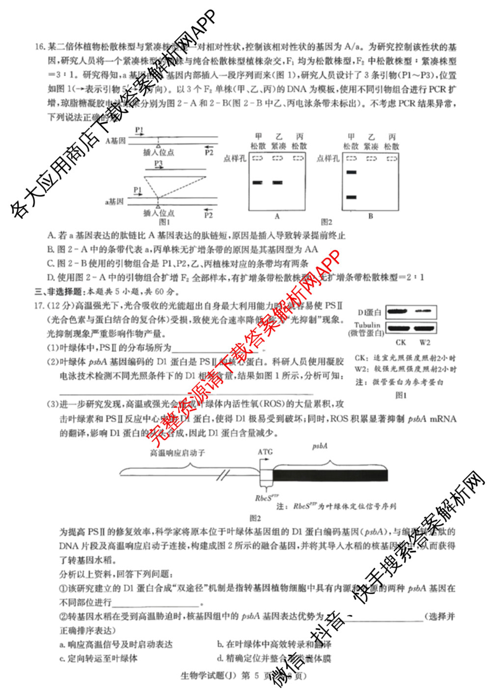 湖南省怀化市2026届高三一模(J)(已更新英语 历史 物理等10份)生物试题