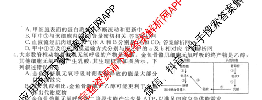 2026普通高等学校招生全国统一考试冲刺押题卷(六)6（16科全）生物试题