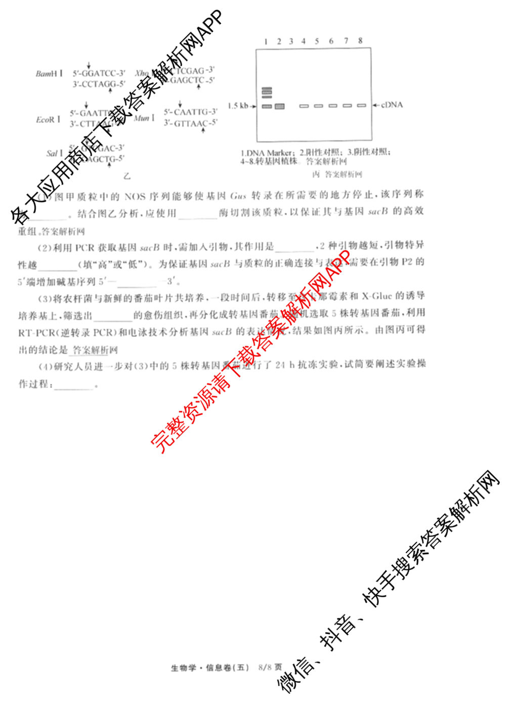 天舟高考衡中同卷2026年普通高等学校招生全国统一考试模拟信息卷(五)5（含理综(新疆版)、生物(WY)、英语(B)等）生物试题
