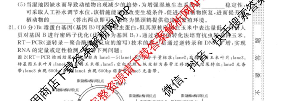 2026普通高等学校招生全国统一考试冲刺押题卷(四)4试卷及答案汇总: 含化学 语文 生物(AC)试卷解析生物试题