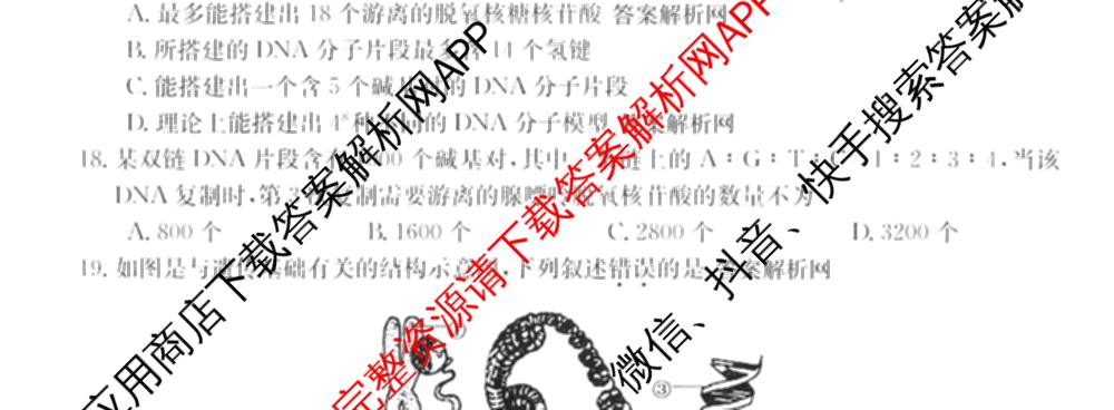 2025~2026全国名校高一第二学期期中考试试卷（含历史(《中外历史纲要下》-BB-X-F-唐) 地理(必修第二册-LJ-G-唐) 化学(必修第二册-RJ-G-唐)等）生物试题