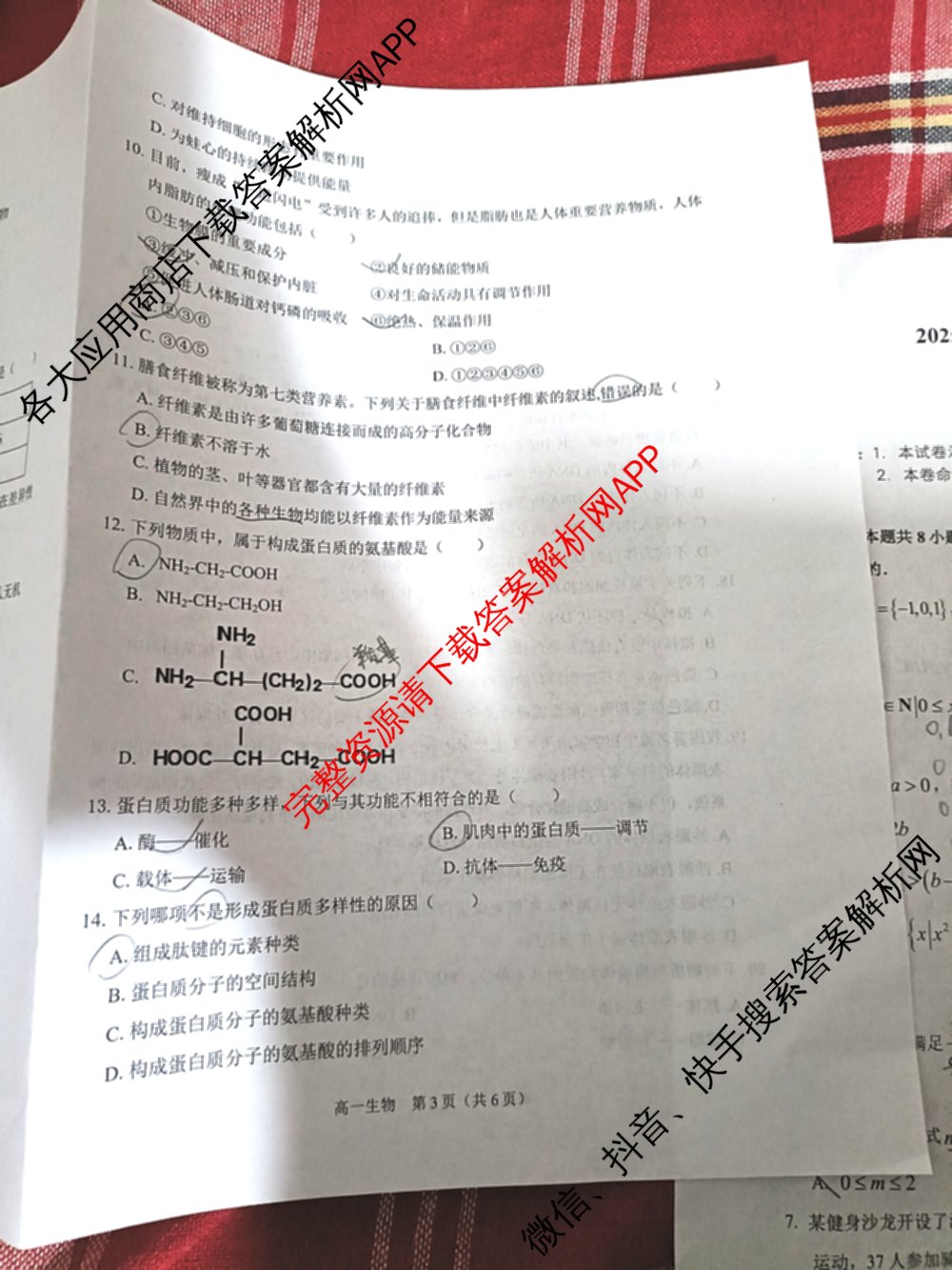安徽省2025-2026学年度第一学期练1高一试卷及答案汇总: 含历史 语文 生物试卷解析生物试题